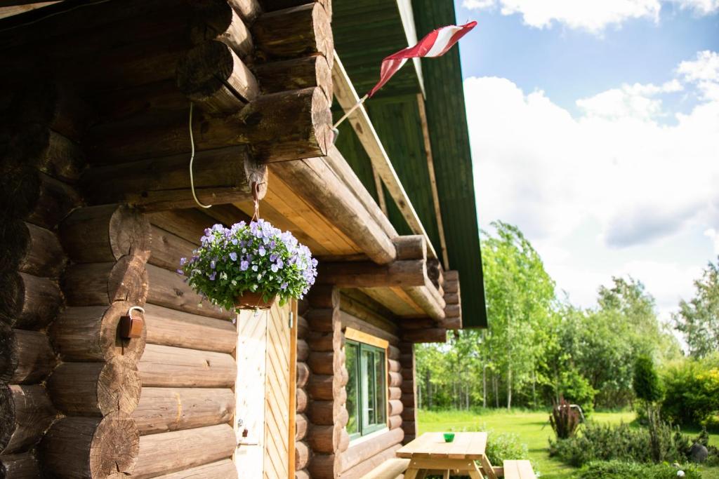 una cabaña de madera con una maceta de flores en el costado. en Melderi, en Rēzekne
