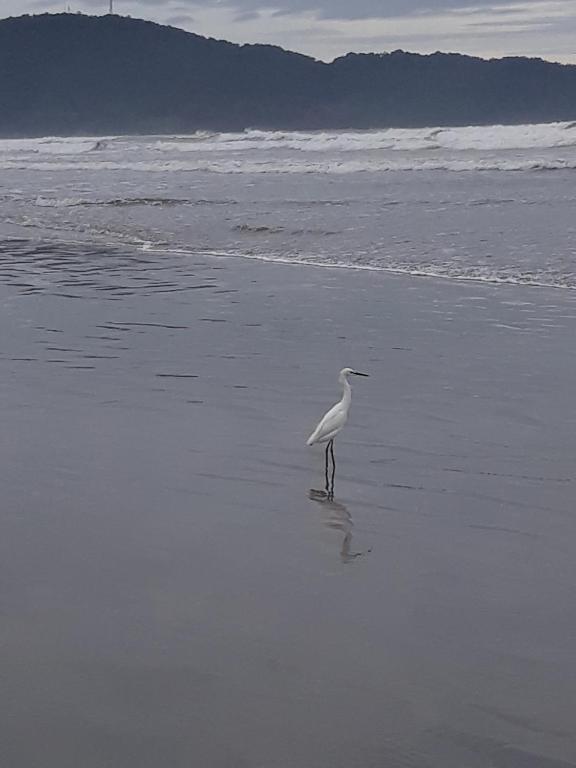  Aviação-Praia Grande/SP- 100m praia - imperdível