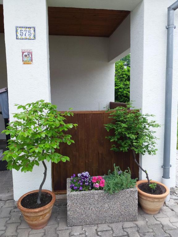 Zahrada ubytování Apartmány U Mariánské kaple