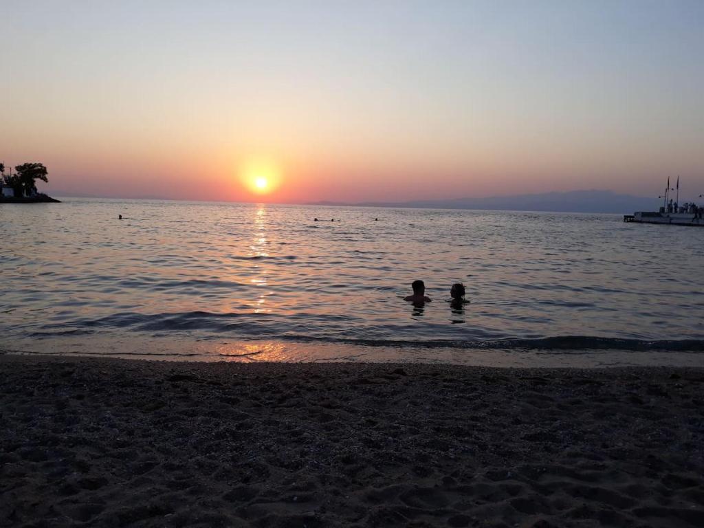 Táj Show holiday homes közelében