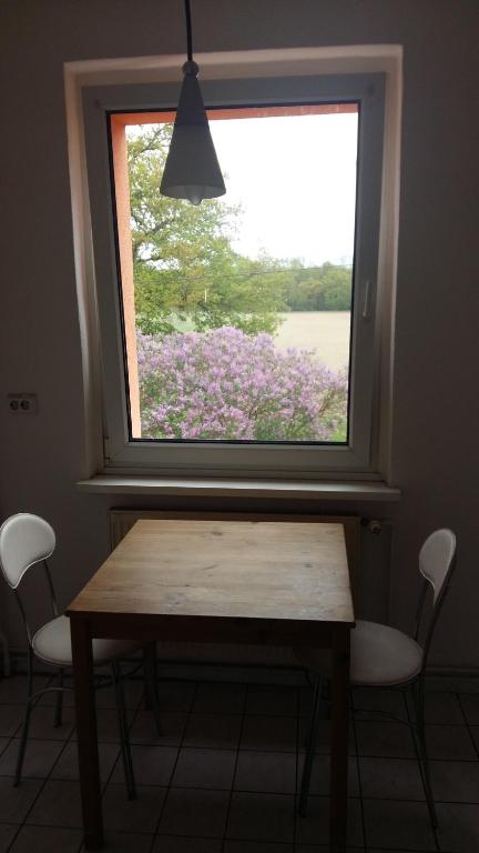a table and chairs in a room with a window at Natur-Freude-16 in Kotzen