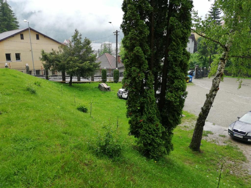 Příroda nedaleko hostelu