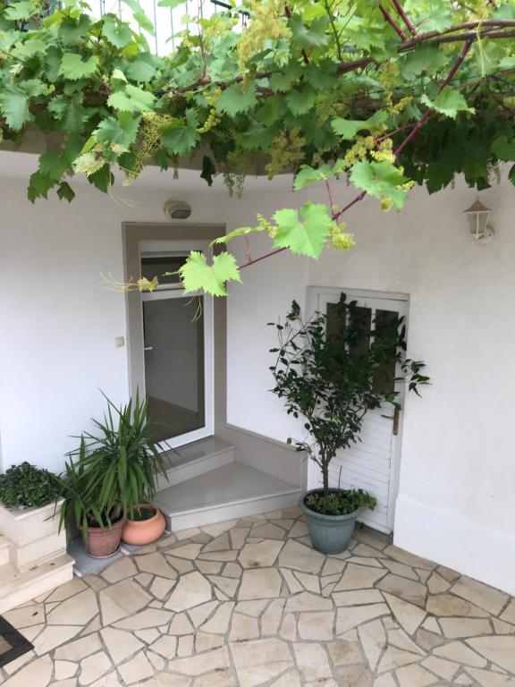 Imagen de la galería de Apartman Dvor, en Makarska