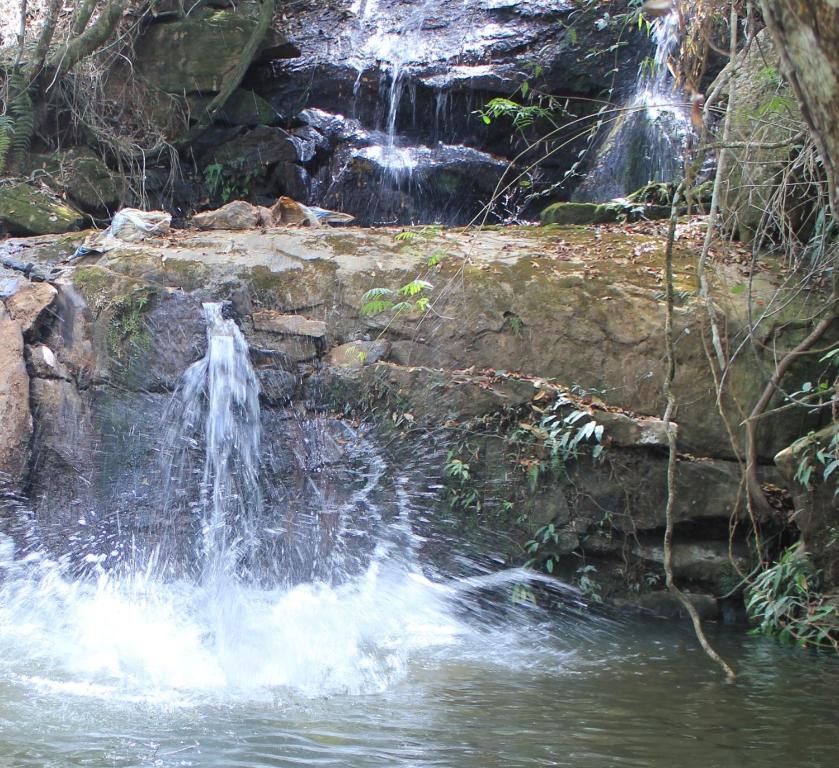  Fazenda GIR Laranjeiras