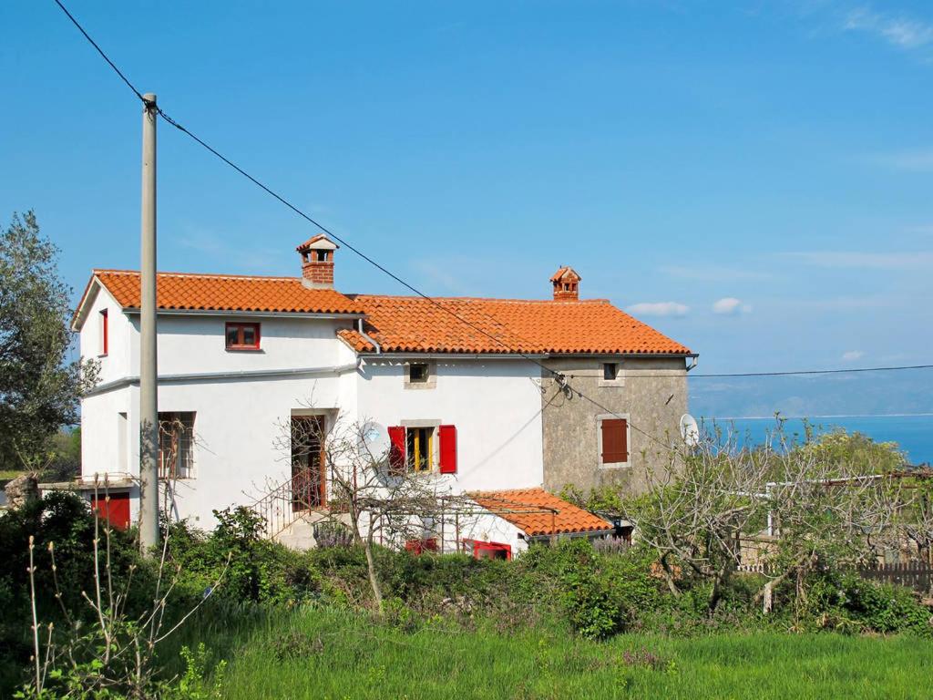 una gran casa blanca con techo naranja en Crni, en Drenje