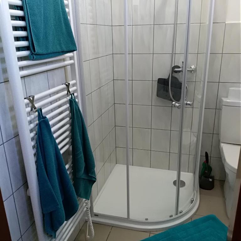 Koupelna v ubytování Apartmán U Sudu