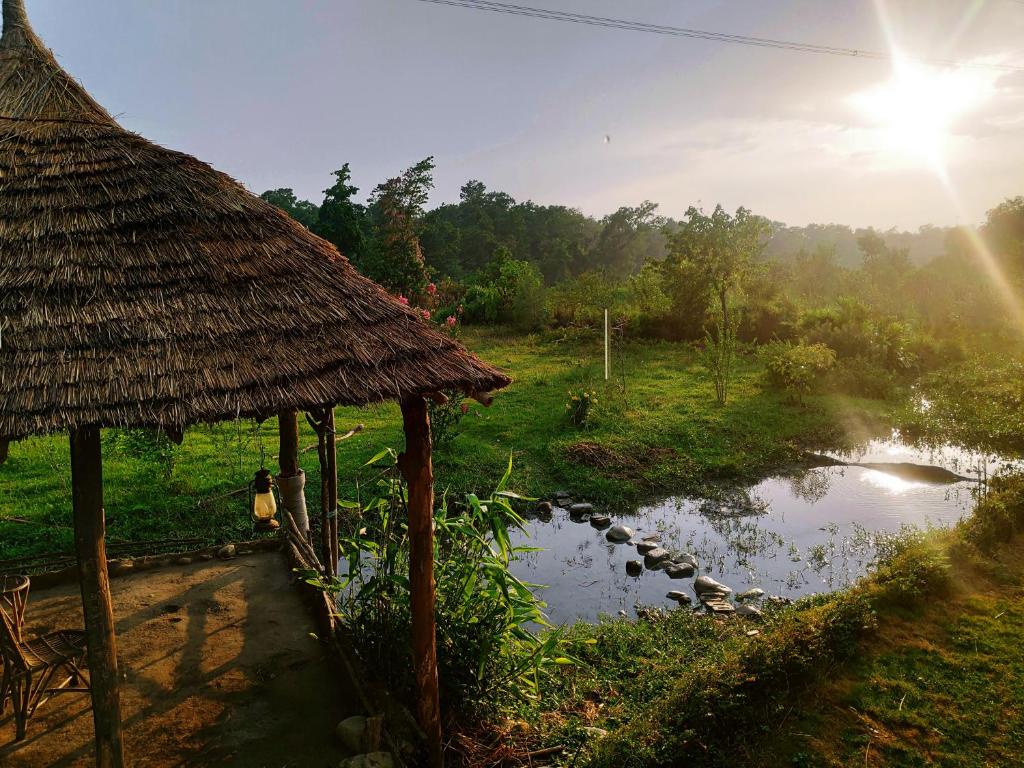 Nature Care Village- Rajaji National Park
