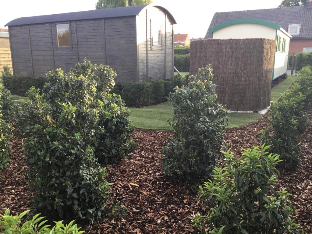 Aed väljaspool majutusasutust Jardin Jannik