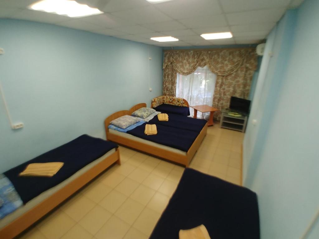 ハバロフスクにあるAlbatrosのベッドルーム(ベッド2台、テレビ付)