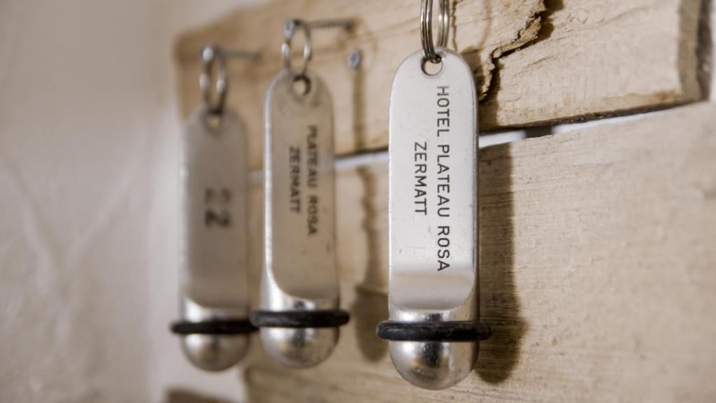 Hotel Plateau Rosa - Resim 27