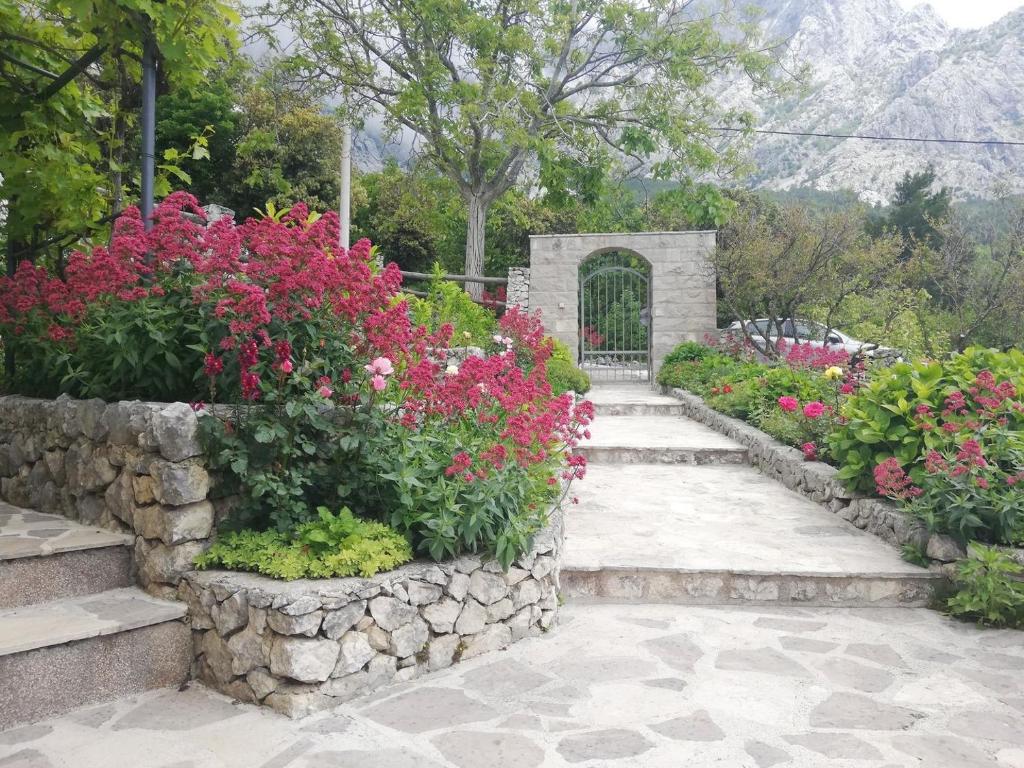 Vonkajšia záhrada v ubytovaní Villa Beloved near Baska Voda, private pool