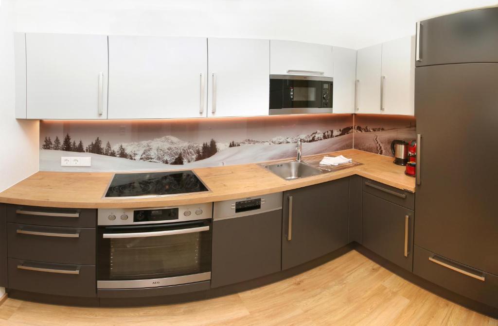 Kuchyň nebo kuchyňský kout v ubytování Tarlack Appartements Hütten 34