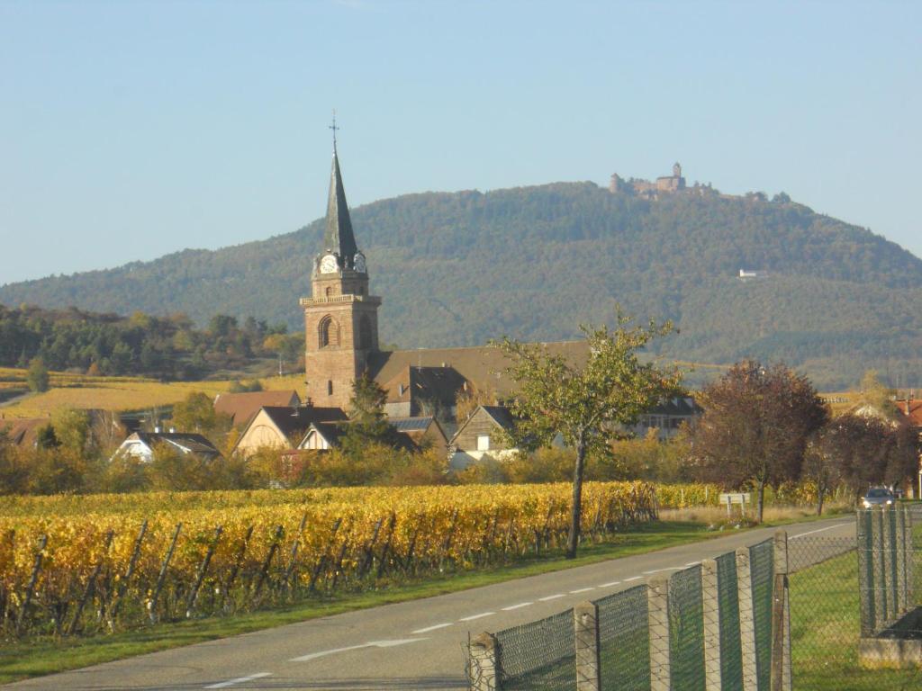 Le Winzer – photo 24