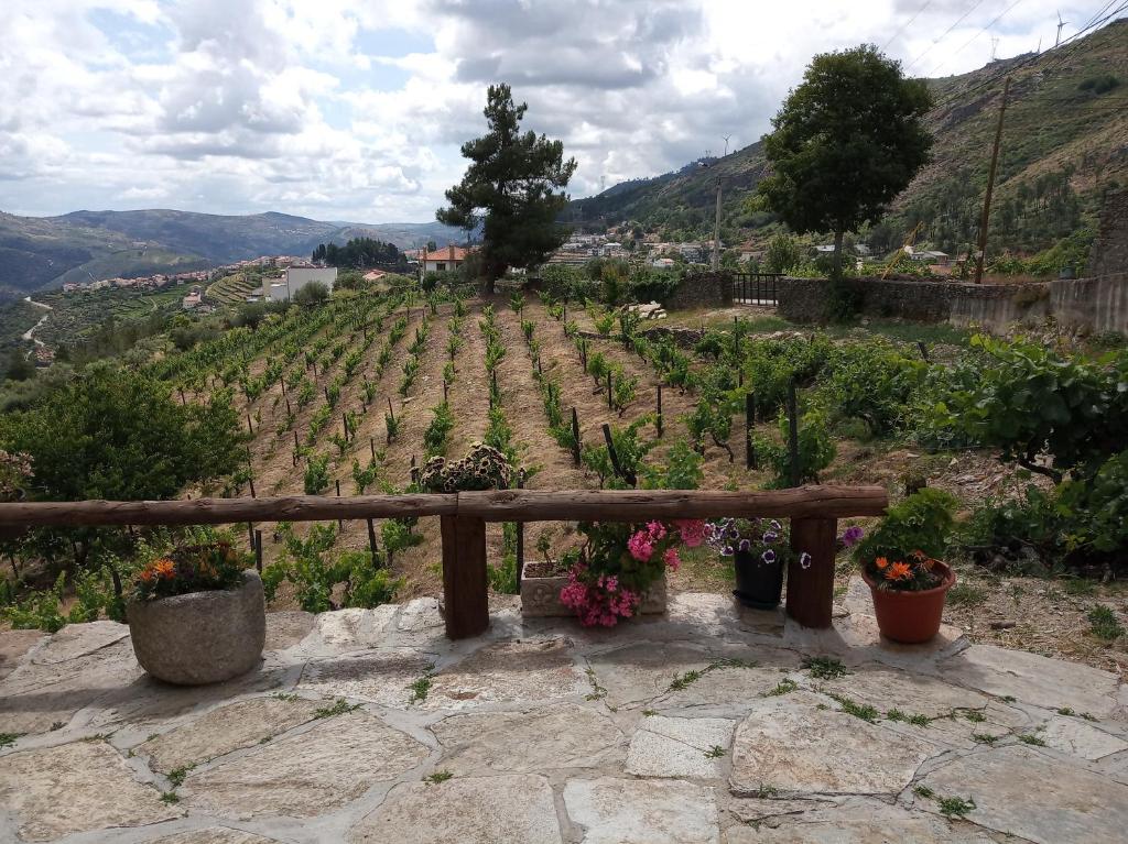 a wooden bench in a vineyard with flowers at Casa da Vinha em Tabuaço - Douro in Tabuaço