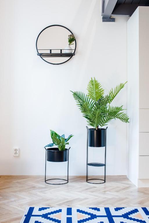Fotografie z fotogalerie ubytování Rainbow Dream Apartment v Budapešti