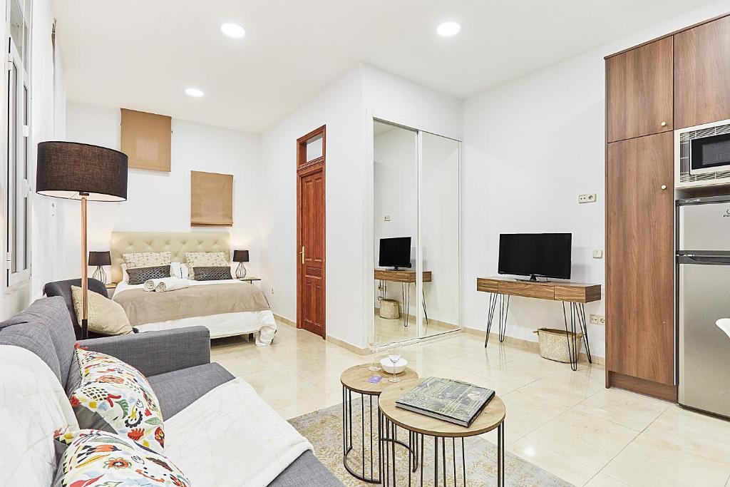 TV a/nebo společenská místnost v ubytování LEEWAYS APARTMENT IX in GRAN VÍA