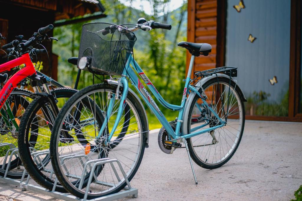 Jízda na kole v ubytování Manuela nebo okolí