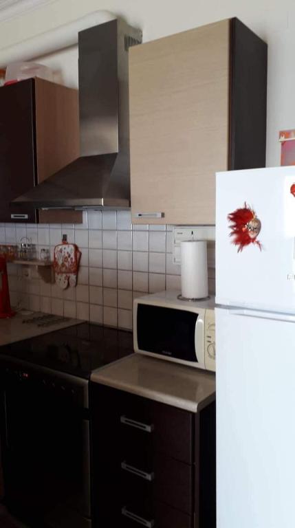 Kuchyň nebo kuchyňský kout v ubytování Gakis