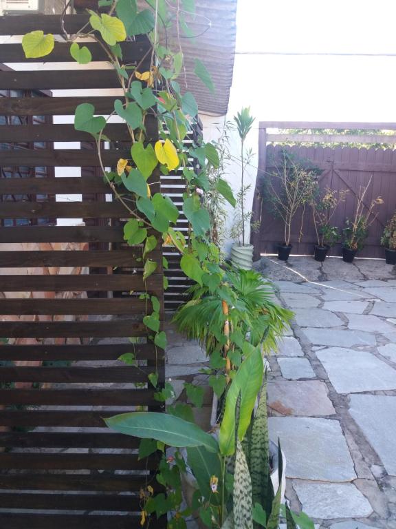  Pouso do Rio