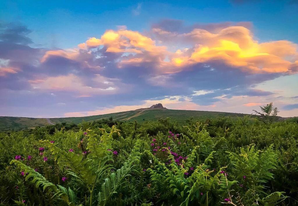 un campo di fiori con un cielo nuvoloso di Haytor Court, Haytor, Dartmoor a Haytor