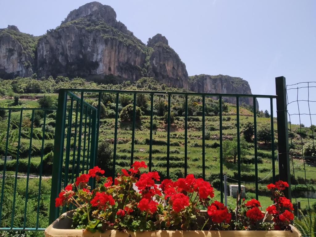 Nespecifikovaný výhled na hory nebo výhled na hory při pohledu z bed and breakfast