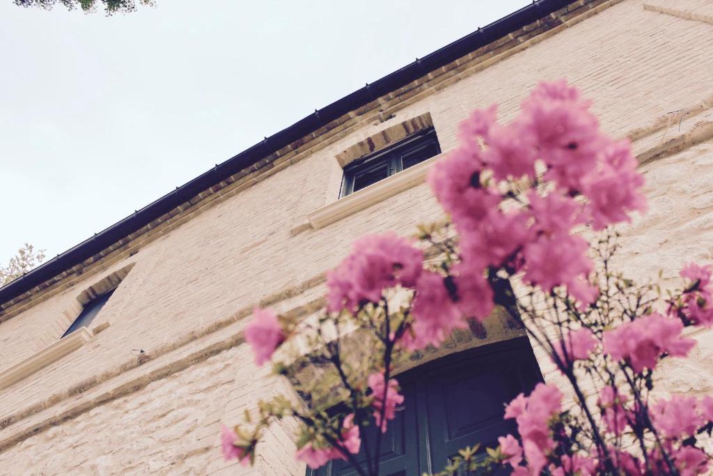 un edificio con flores rosas delante de él en Frontemaja en Fara Filiorum Petri