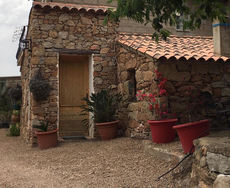 a stone building with a door and potted plants at Caseddu di Chjarastella in Figari