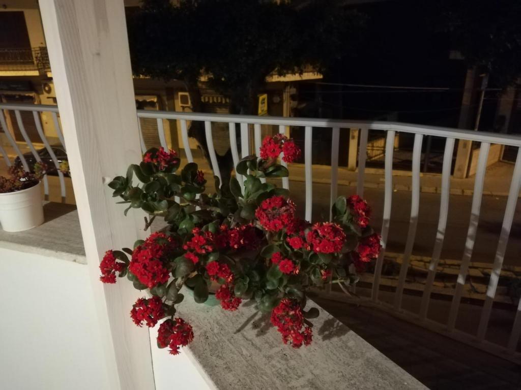 Balkón alebo terasa v ubytovaní Case degli Avi, camere nel Borgo marinaro