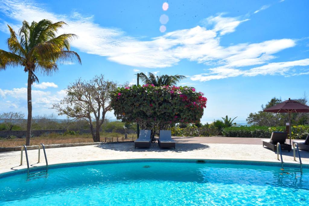 een zwembad met stoelen, bloemen en palmbomen bij El Morro Eco Adventure Hotel in San Fernando de Monte Cristi