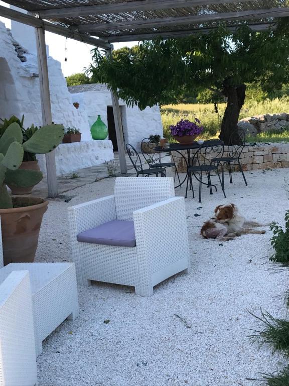 Vonkajšia záhrada v ubytovaní Borgo trulli 1789