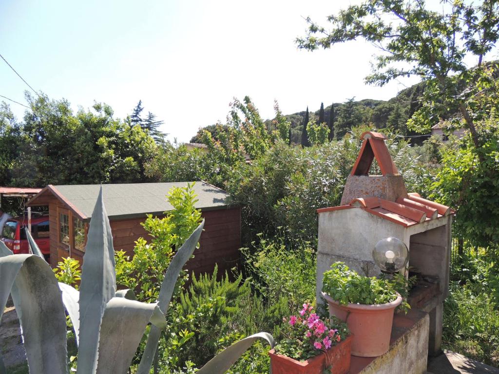 Zahrada ubytování Casa Cirilla - ArgonautiVacanze