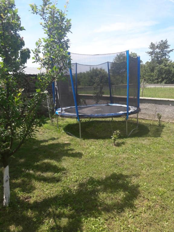 Fotografie z fotogalerie ubytování Radmani Apartments v Poreči