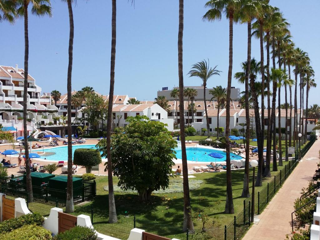 vista sulla piscina del resort con palme di Duplex Parque Santiago 2 close to pool, sea + beach, central, Wifi, heated pool a Playa de las Americas
