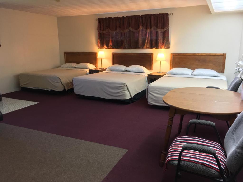 Driftwood Motel - 家庭间 - 带三张大号床 - 禁烟