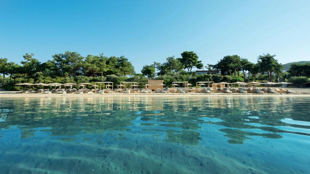 a beach with chairs and umbrellas in the water at Trikorfo Beach in Gerakini