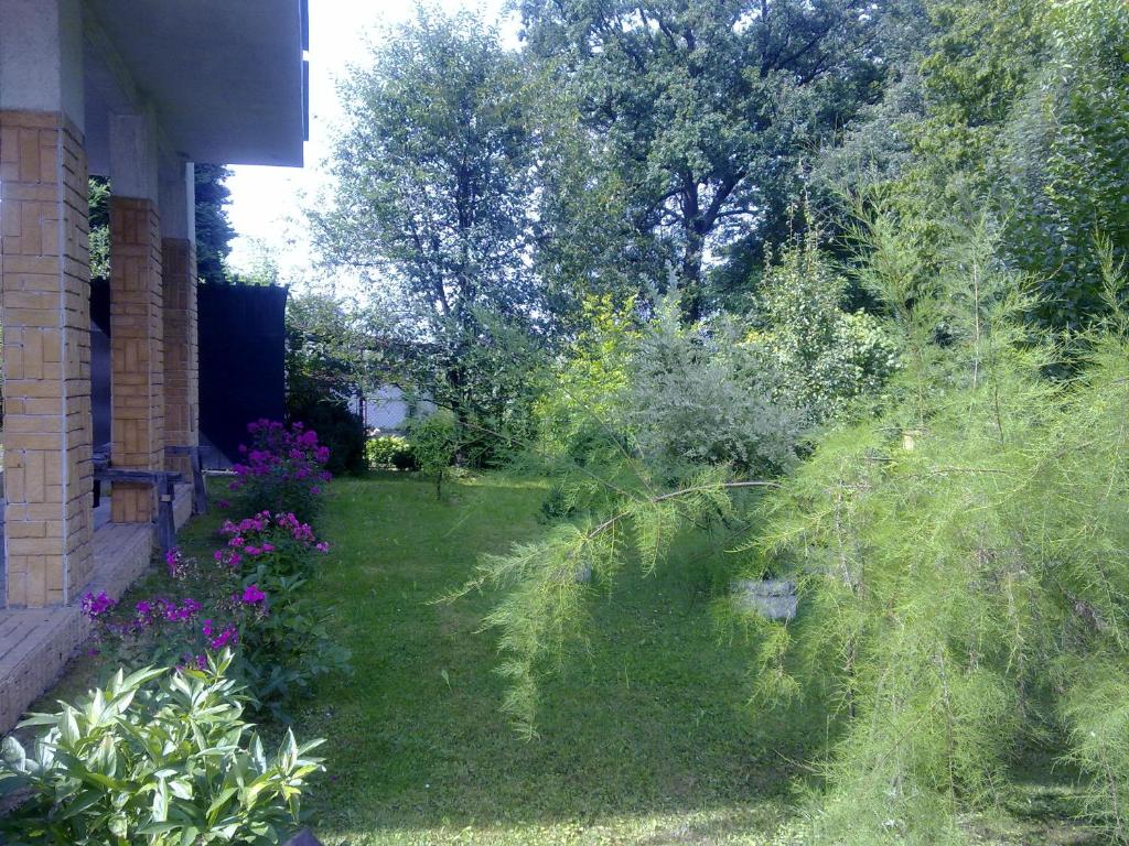 Zahrada ubytování Studánka