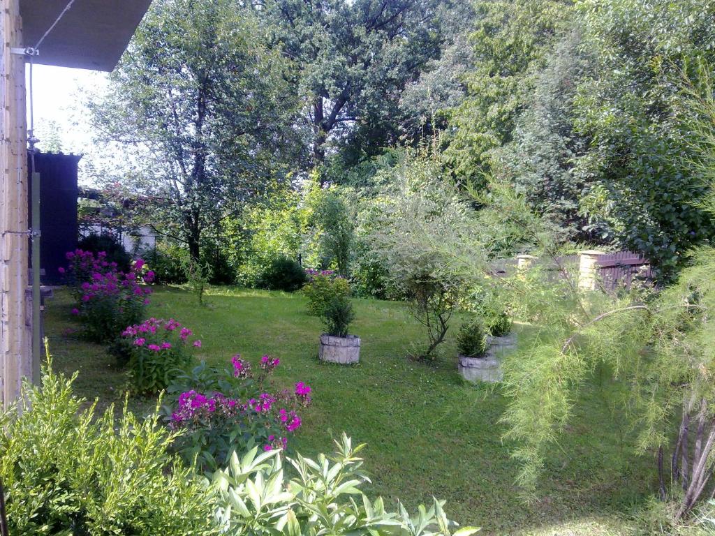 Zahrada ubytování Studánka