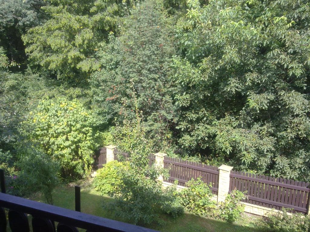 Zahrada ubytování Studánka