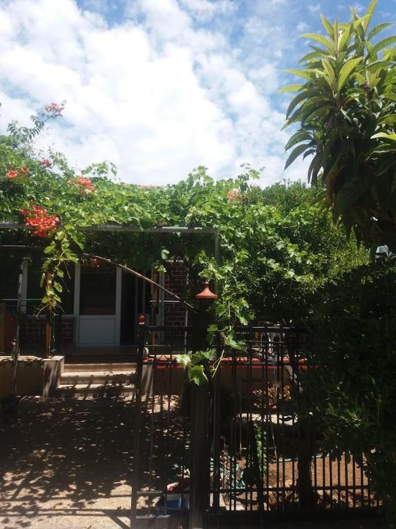 a house with a pergola and some plants at Casa di Diamanto in Porto Rafti