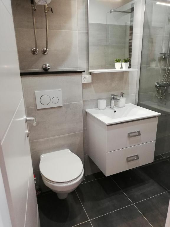 Kúpeľňa v ubytovaní Apartment Stojan A1