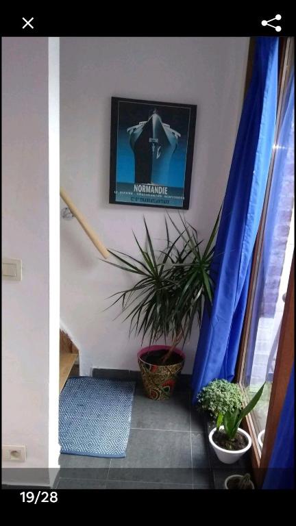 TV a/nebo společenská místnost v ubytování Land Scape guesthouse