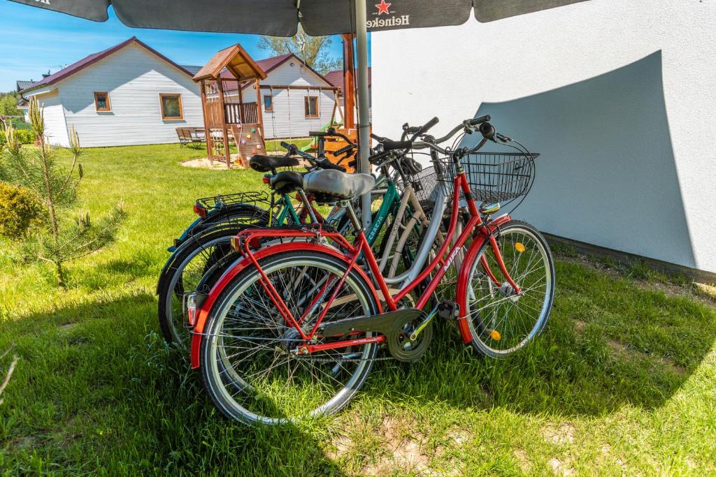 Jízda na kole v ubytování Lesna Domki Letniskowe nebo okolí