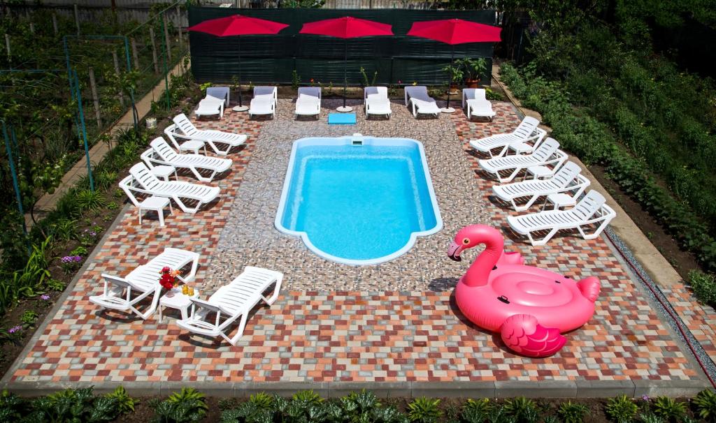 a swimming pool with lounge chairs and a pink flamingo at Guest House Kamenny Dom in Karolino-Buhaz