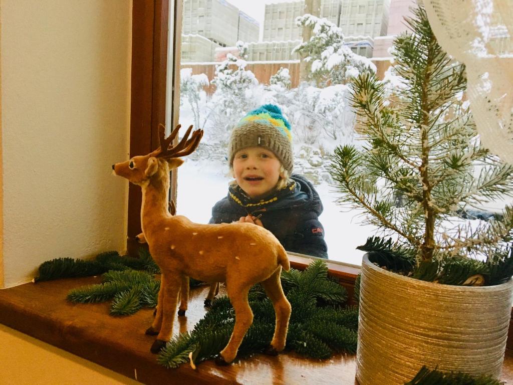 een kleine jongen die uit een raam kijkt met een speelgoedhert bij Zakopane Stop in Zakopane