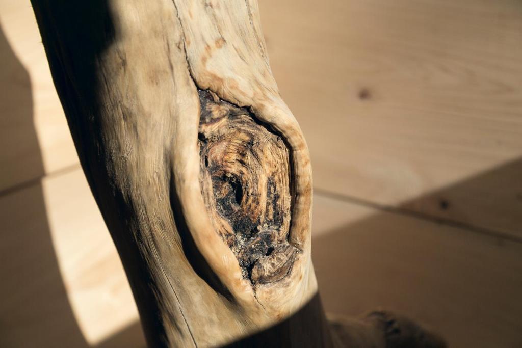 Enlarged view