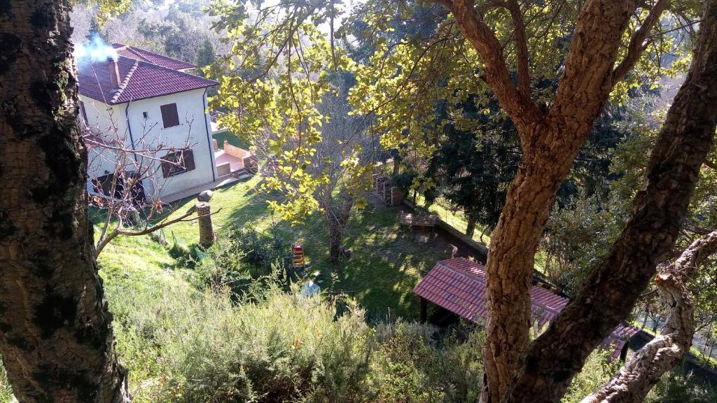 une petite maison blanche au milieu d'une forêt dans l'établissement Chalet Reventino, à Lamezia Terme