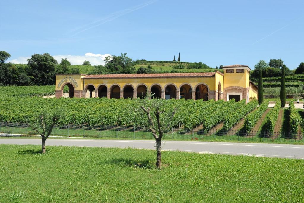 een gebouw in een wijnveld naast een weg bij Monte Tondo Winery in Soave