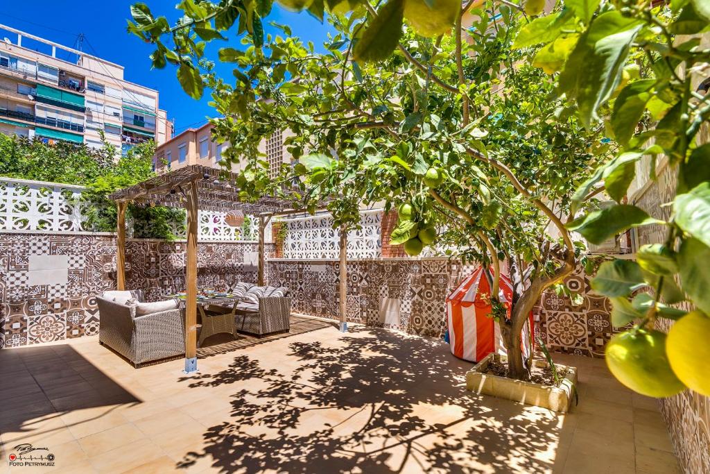 Zahrada ubytování Apartament Lemon Paradise
