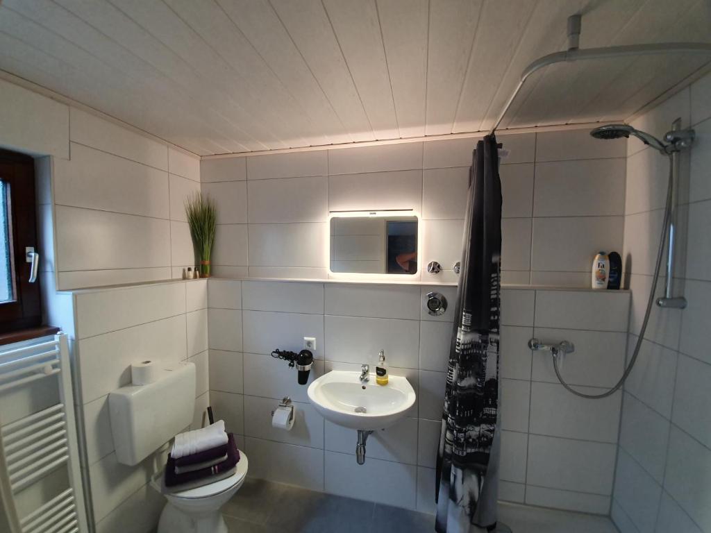 a bathroom with a toilet and a sink at Feels like Home @ Eppinger in Remseck am Neckar