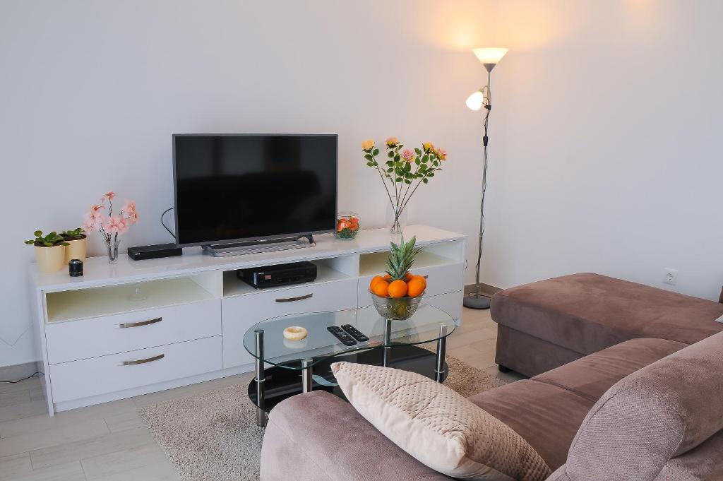 TV a/nebo společenská místnost v ubytování Apartment Petar